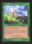 Crop Rotation - NM Foil _T1023