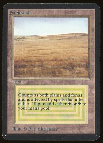 Savannah - MP _11981