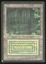 Bayou - DMG Italian _12873