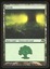 M15 Forest Test Card - LP _13711