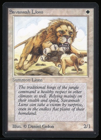 Savannah Lions - NM _13532