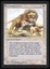 Savannah Lions - NM _13532