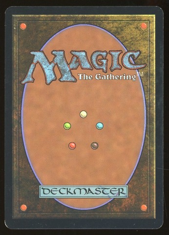 M15 Forest Test Card - LP _13711
