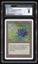 CGC 8 Black Lotus - NM -001
