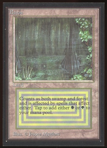 Bayou - NM _9965