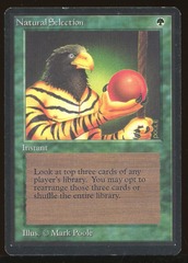 Natural Selection - MP _14173
