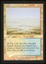 Flooded Strand - LP Foil _13399