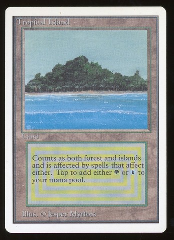 Tropical Island - LP _13560