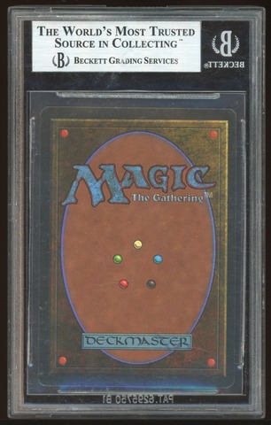 BGS 9 Hazezon Tamar -551