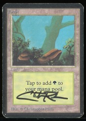 Forest (A) - MP Signed _A3624