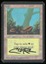 Forest (A) - MP Signed _A3624