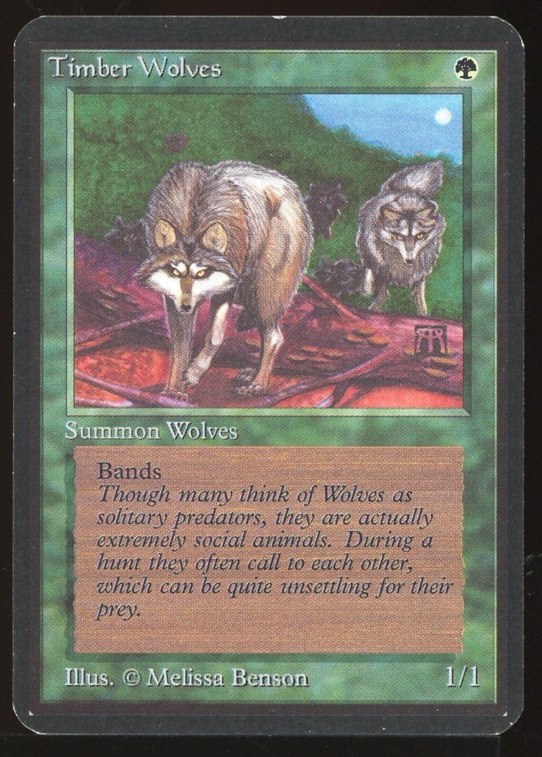 Timber Wolves - LP _11101