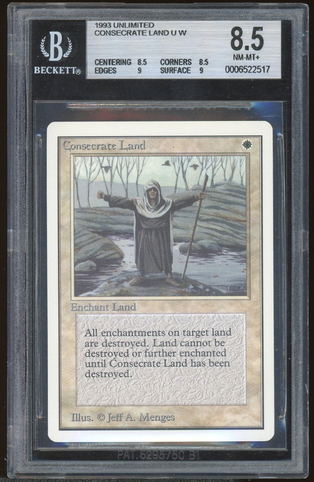 BGS 8.5 Consecrate Land -517