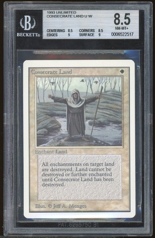 BGS 8.5 Consecrate Land -517