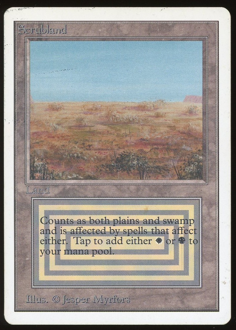 Scrubland - MP _11398