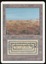 Scrubland - MP _11398