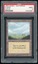 PSA 9 Plains -281