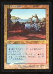 Shivan Reef - NM Foil Japanese _14483