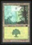 Forest - LP _13438