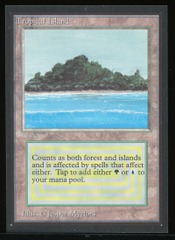 Tropical Island - NM _13661
