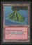 Volcanic Island - LP _13664