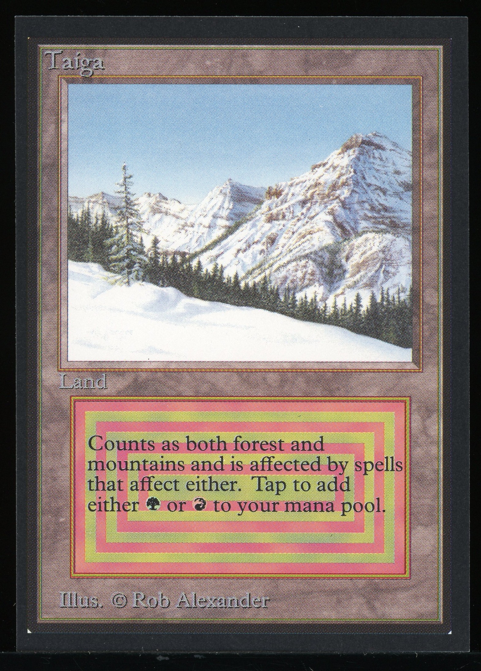 Taiga - NM _13660
