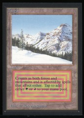 Taiga - NM _13660