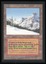 Taiga - NM _13660