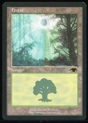 Forest - MP _13940