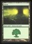 M15 Forest Test Card - NM _13133