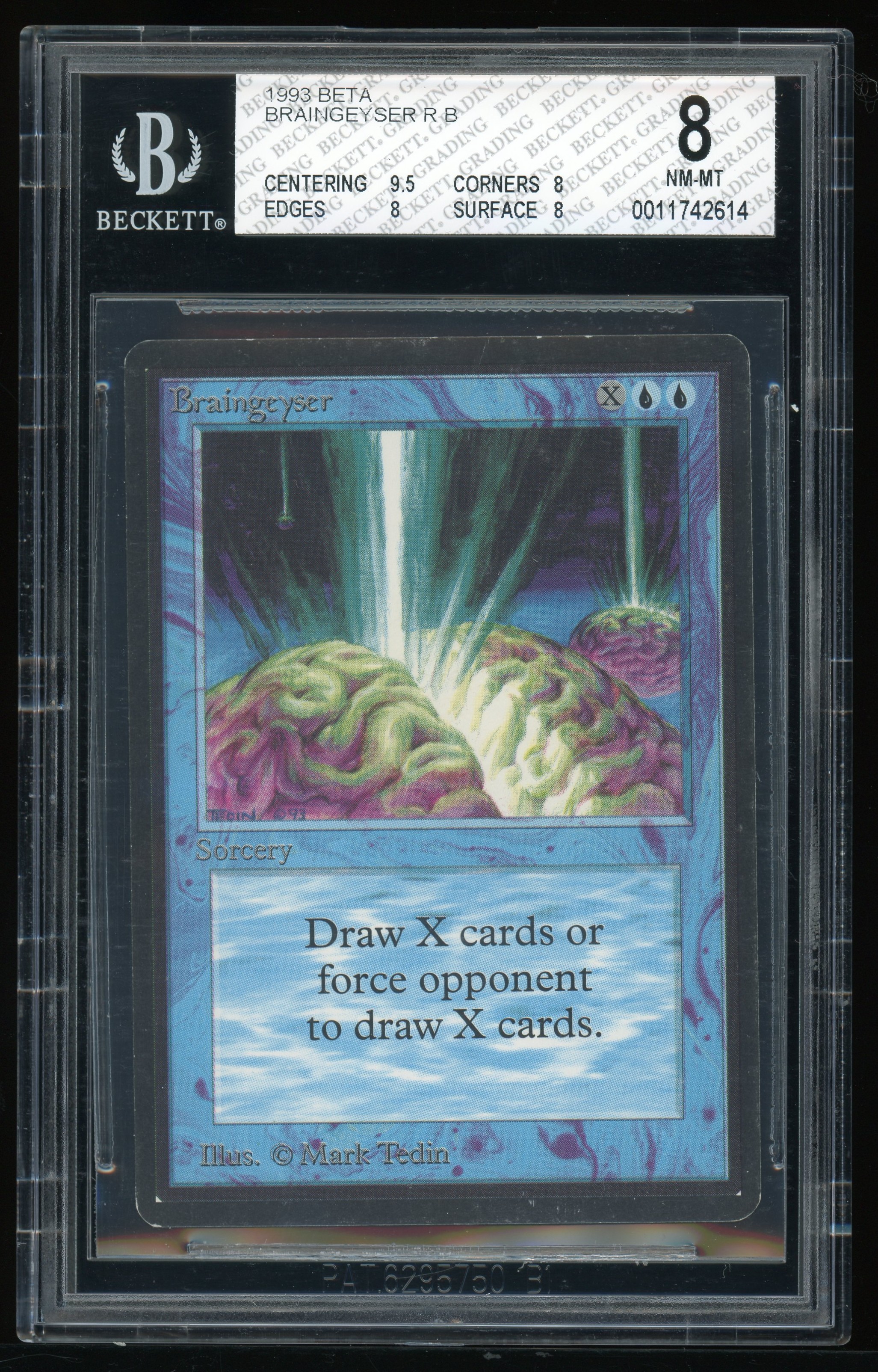 BGS 8 Braingeyser -614