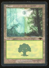 Forest - HP _13436