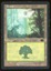 Forest - HP _13436