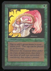 Llanowar Elves - NM _13730