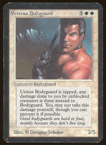 Veteran Bodyguard - HP _7567