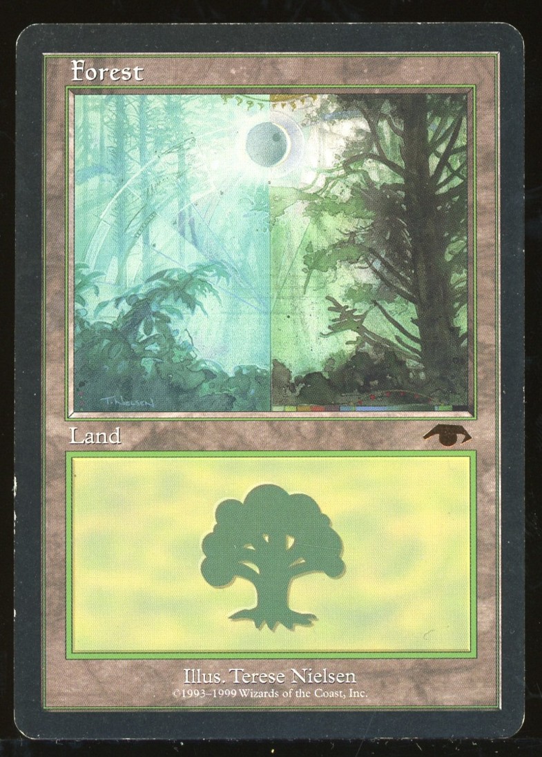 Forest - MP _13437