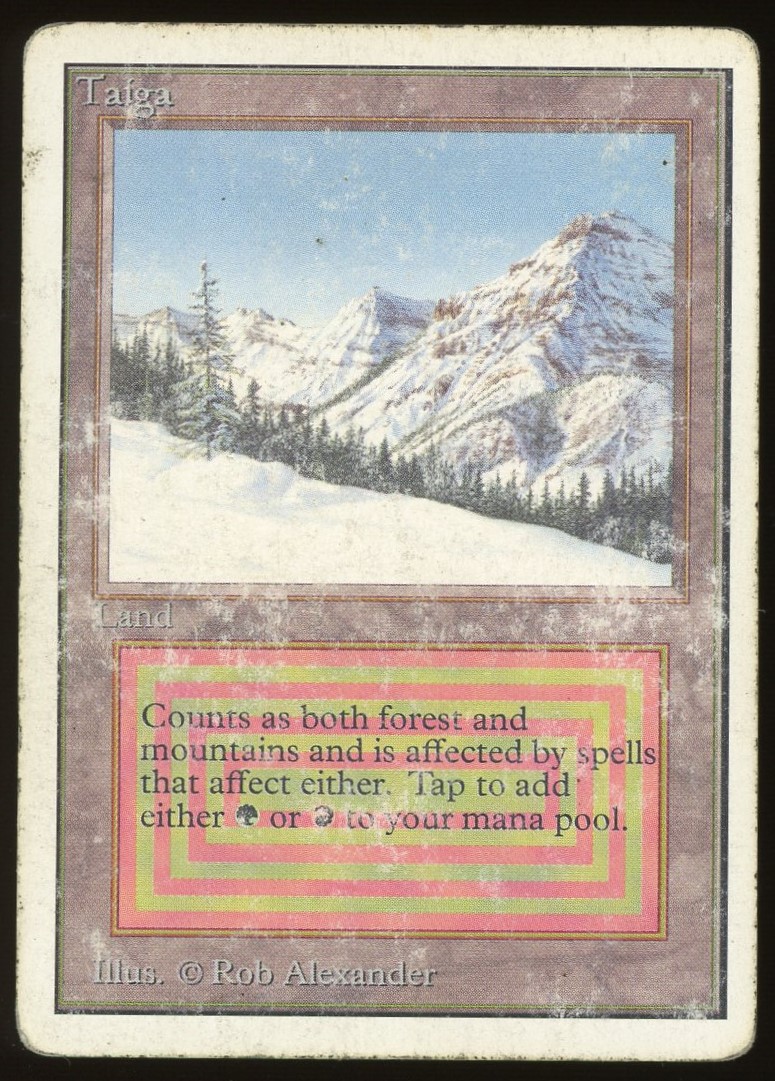 Taiga - DMG _12469