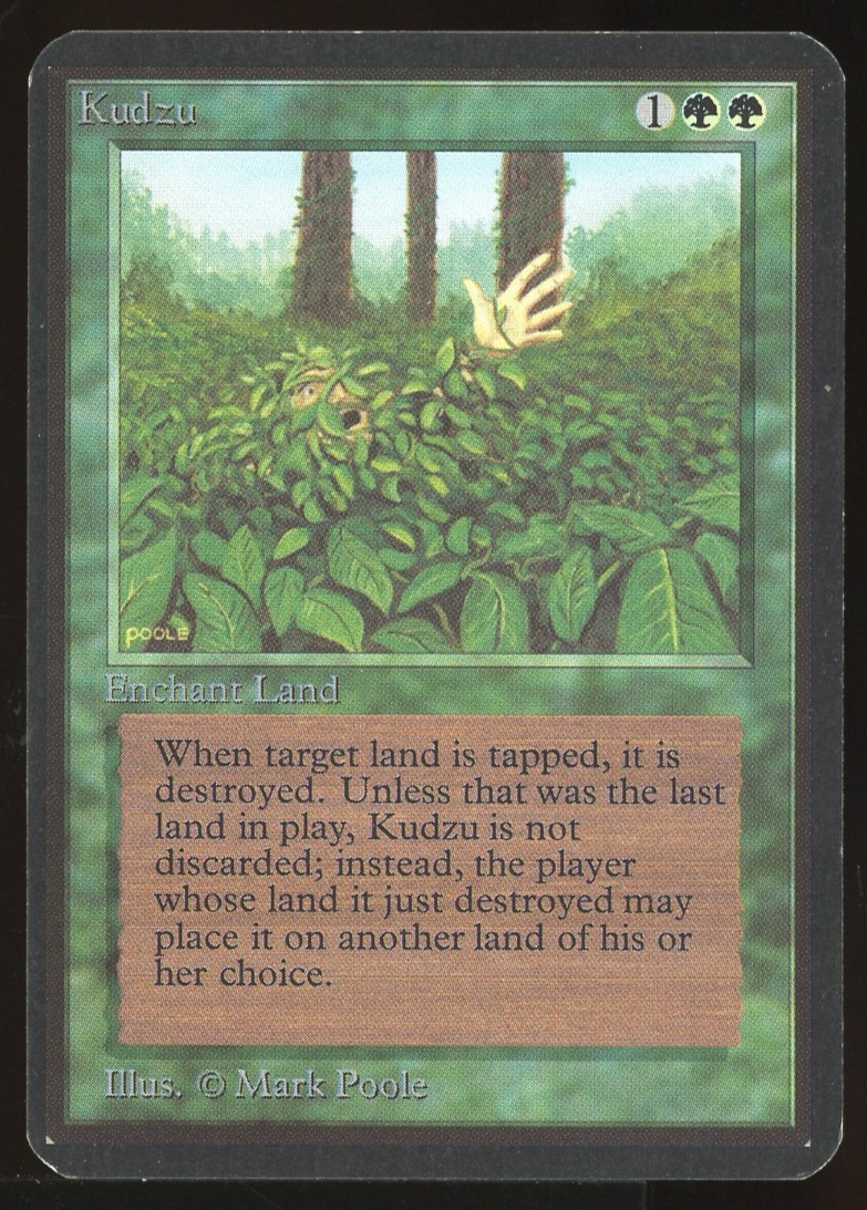 Kudzu - NM _11054