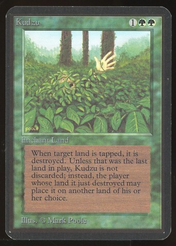 Kudzu - NM _11054