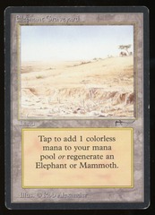 Elephant Graveyard - HP _13579
