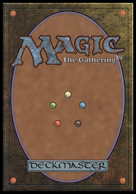 Horizon Scholar