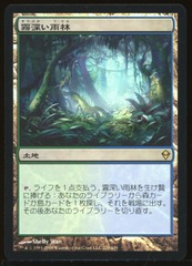 Misty Rainforest - LP Foil Japanese _13164