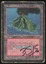 Volcanic Island - DMG Signed _8947