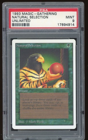 PSA 9 Natural Selection -914