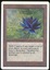 Black Lotus - NM _12075