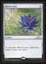 Black Lotus - NM _13933