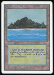 Tropical Island - LP *Roller Lines _14257
