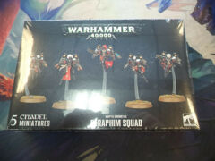 (52-27)  Adepta Sororitas Seraphim Squad