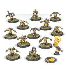 (200-27) Blood Bowl Goblin