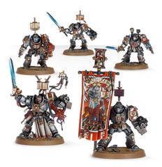 (57-09) Grey Knights Paladin Squad /Terminator Squad